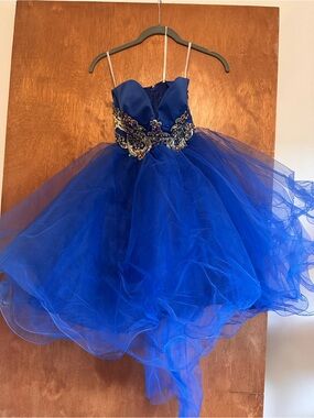Royal Blue Tulle Prom Dress